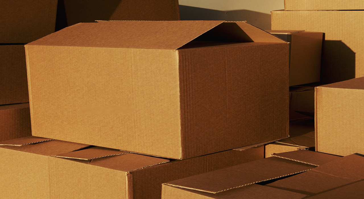 Navigating the Moving Maze: Essential Tips for Choosing Moving Services in the USA